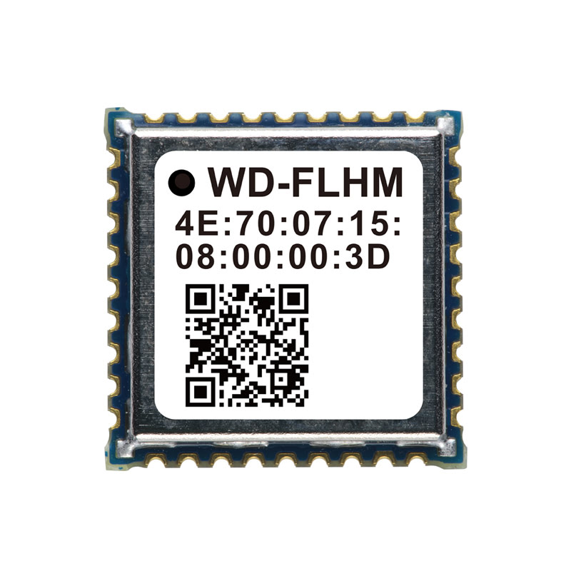 LoRaWAN Module WD-FLHM Module